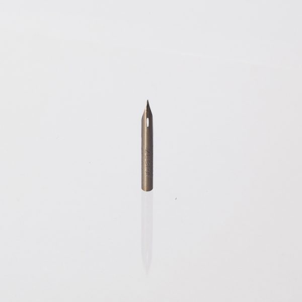 Plume zébra "maru" - boite de 5