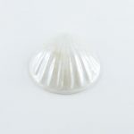 Le lustre irisé réf 282 en 5 grammes, vous donne de jolis reflets, jaune, rose, vert et bleuté pour faire scintiller vos fonds de porcelaine blanche