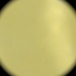 Une très belle couleur or clair ou jaune clair métallique de la gamme 5524 Héraeus