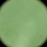 Une très belle couleur vert clair pastel métallique de la gamme 55440 Héraeus