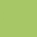 Le Vert printanier N°840 Ceradel en 25 grammes, un très beau vert jaune éclatant et légèrement foncé, c'est une couleur ceradel  plombeuse donc non alimentaire. excellente qualité pour de superbes nuances !