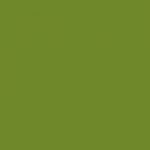Le Vert olive N°813 Ceradel en 25 grammes , est une couleur ceradel  plombeuse donc non alimentaire. excellente qualité pour de superbes nuances !