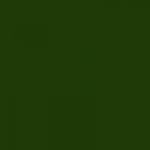 Le Terre verte N°843 Ceradel en 25 grammes , est une couleur ceradel  plombeuse donc non alimentaire. excellente qualité pour de superbes nuances !