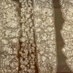 L' Agent de marbrage multi-effets 5 grammes est un produit nouvellement en vente chez Couleurs & Reliefs ! Nous l'avons testé positivement, et vous le proposons à la vente dès maintenant.