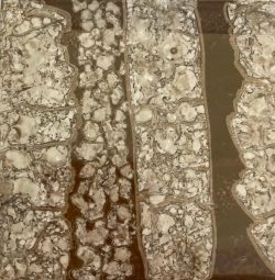 L' Agent de marbrage multi-effets 5 grammes est un produit nouvellement en vente chez Couleurs & Reliefs ! Nous l'avons testé positivement, et vous le proposons à la vente dès maintenant.