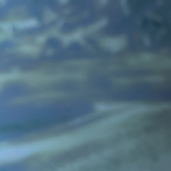 Ce  Lustre bleu azur en 2,5 grammes a une magnifique nuance bleu marine profond, et lumineuse. Il donnera un très beau rendu sur vos pièces décoratives et quelque soit la technique employée !